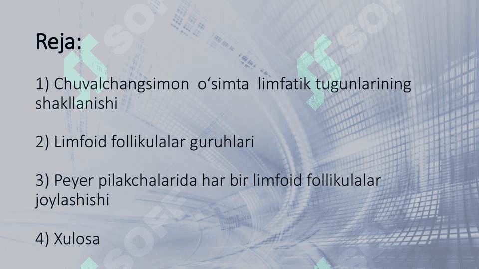Hazm nayining limfoid tuzilmalari 2