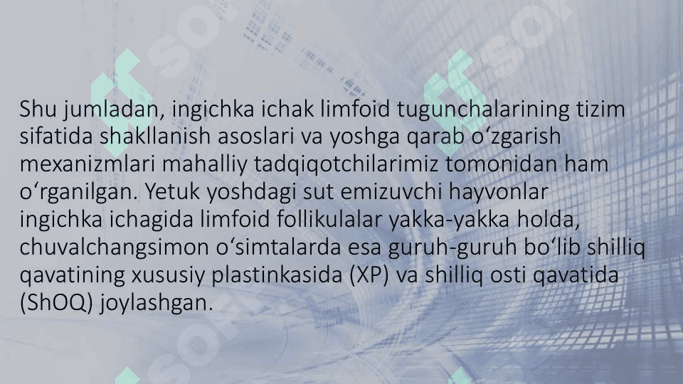 Hazm nayining limfoid tuzilmalari 6