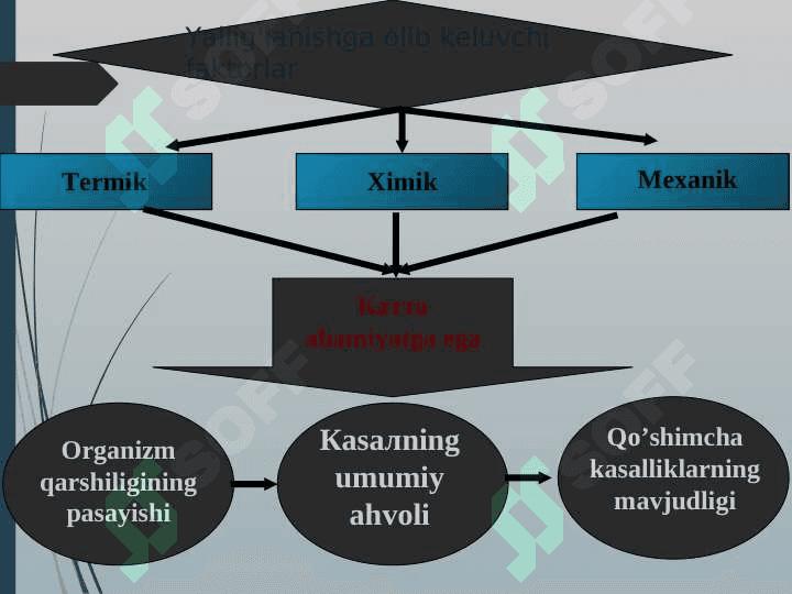 Ayollar jinsiy a’zolari yalliғlanish kasalliklari.. 5