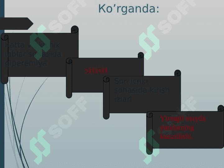 Ayollar jinsiy a’zolari yalliғlanish kasalliklari.. 8
