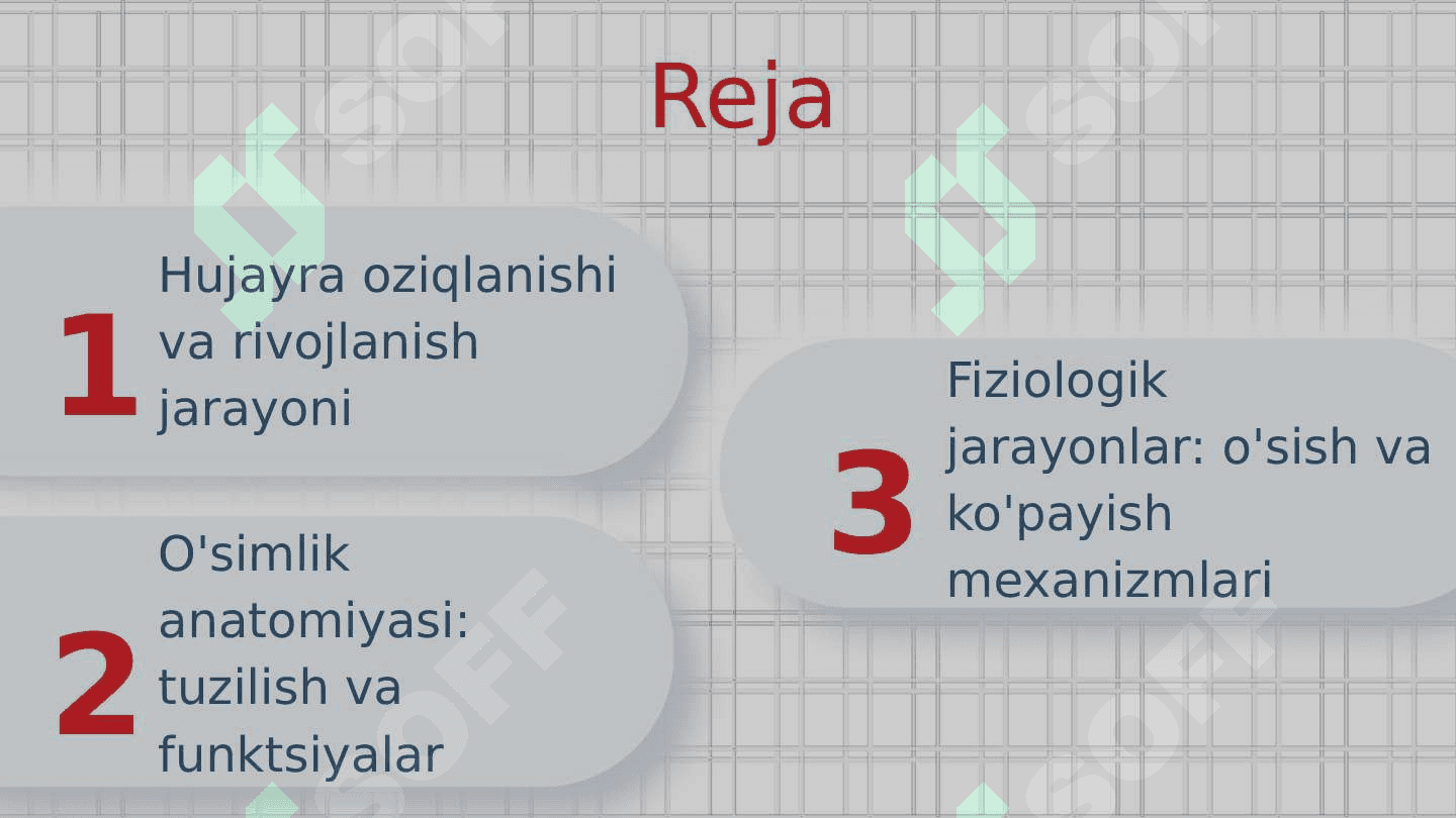 Tiriklik belgilari.Hujayraning oziqlanishi. Rivojlanishi va koʻpayishi.Oʻsimliklar anatomiyasi. Fiziologiyasi 2