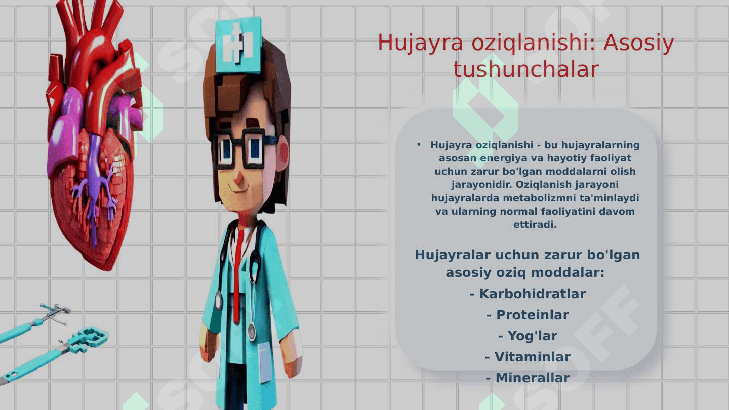 Tiriklik belgilari.Hujayraning oziqlanishi. Rivojlanishi va koʻpayishi.Oʻsimliklar anatomiyasi. Fiziologiyasi 3