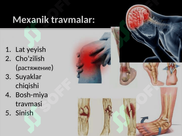 etiologik muhit omillarining organizmga patogen ta’siri.... 4