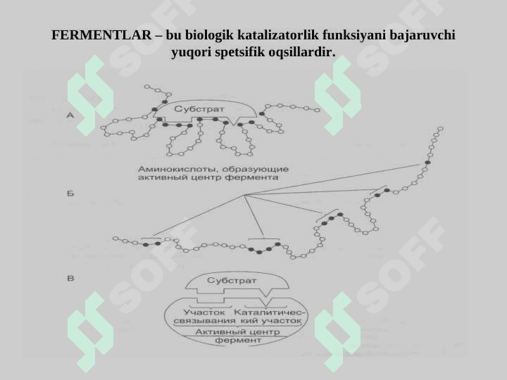 Fermentlar 2