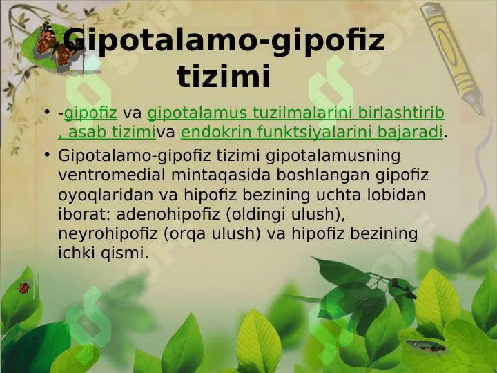 Ichki sekretsiya bezlari Gipotalamo-gipofiz tizimi Qalqonsimon bez va Qalqonsimon oldi bezlari Fiziologiyasi 6