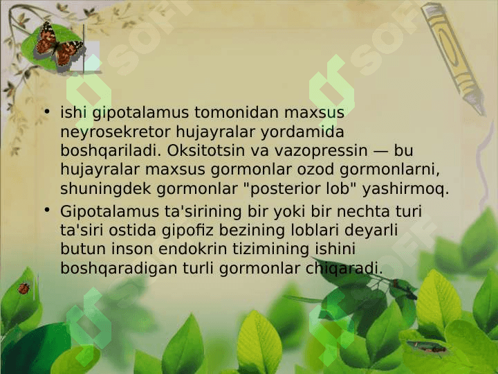 Ichki sekretsiya bezlari Gipotalamo-gipofiz tizimi Qalqonsimon bez va Qalqonsimon oldi bezlari Fiziologiyasi 7
