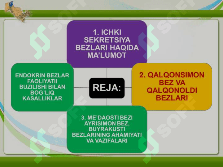 ICHKI SEKRETSIYA BEZLARI REF 28 LIST 2