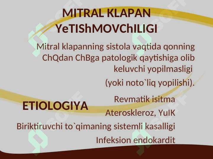 Mitral klapan prolapsi 2