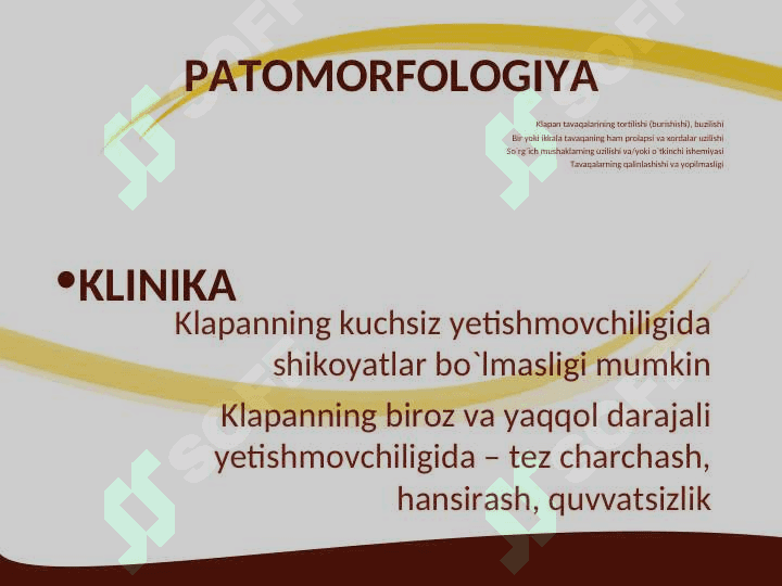 Mitral klapan prolapsi 4