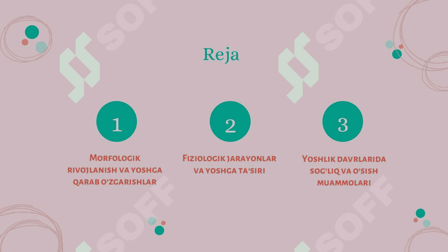 Yoshlik davrlarining  morfologik va fiziologik  xususiyatlari. 2