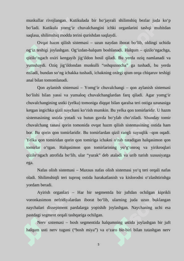 XALQALI CHUVALCHANGLAR TIPIGA TAVSIF, MUHIM VAKILLARI 5