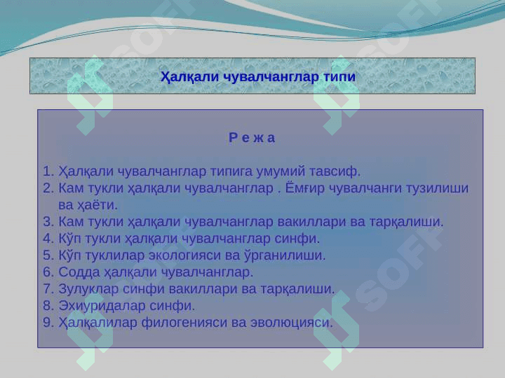 Ҳалқали чувалчанглар типи 2
