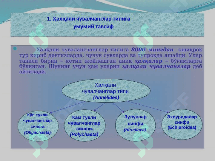 Ҳалқали чувалчанглар типи 3