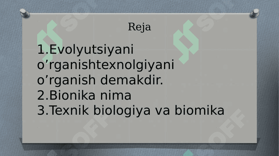 Bionika asoslari va uni inson hayotidagi o’rni 3
