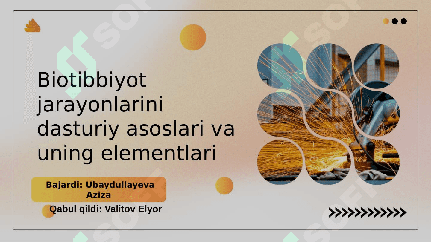 Biotibbiyot jarayonlarini dasturiy asoslari va uning elementlari 2