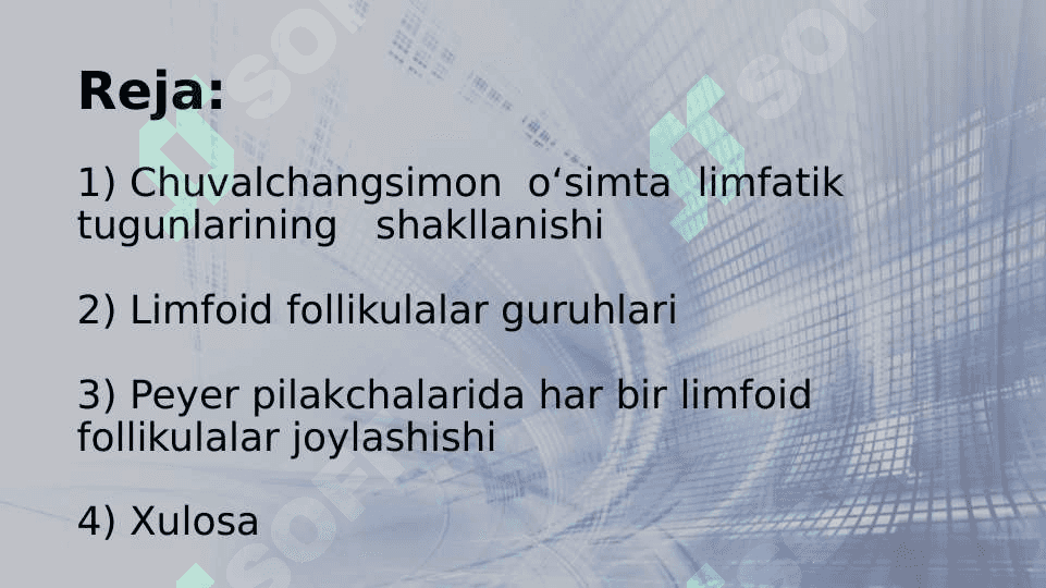 Hazm nayining limfoid tuzilmalari 2