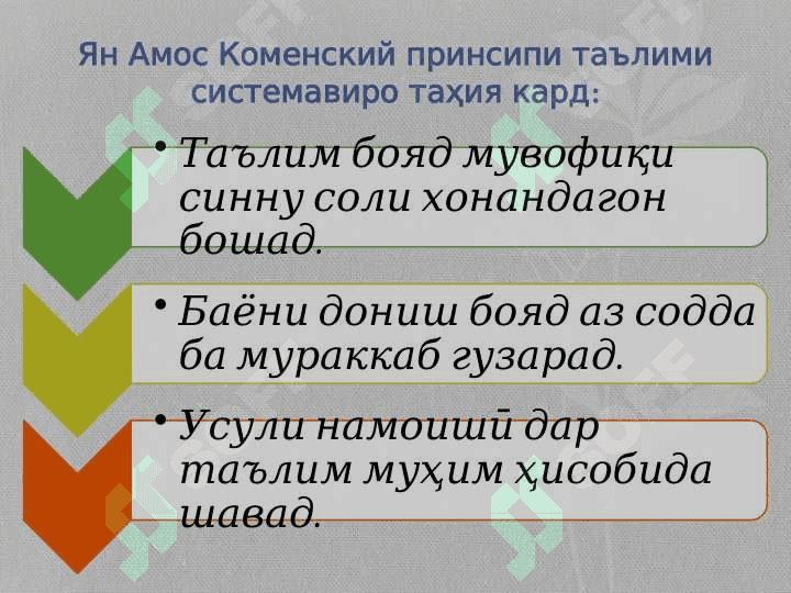 Инкишофи тарбия, мактаб ва афкори педагогӣ аз асри 17 то нимаи асри 20 4