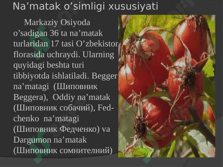 NA’MATAK ZARAKUNANDALARI VA ULARGA QARSHI KURASH CHORALARI 3