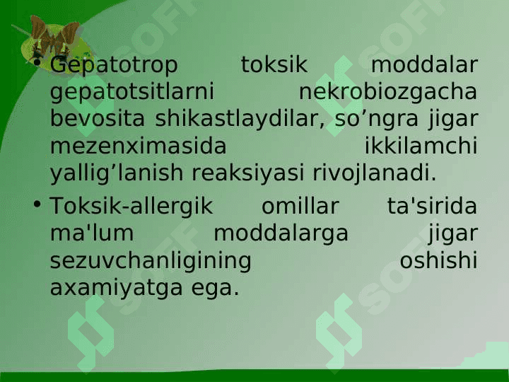 Surunkali gepatit 5