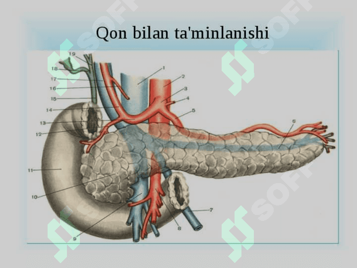 Pankreatitlarni xirurgik davolash usullari. 4