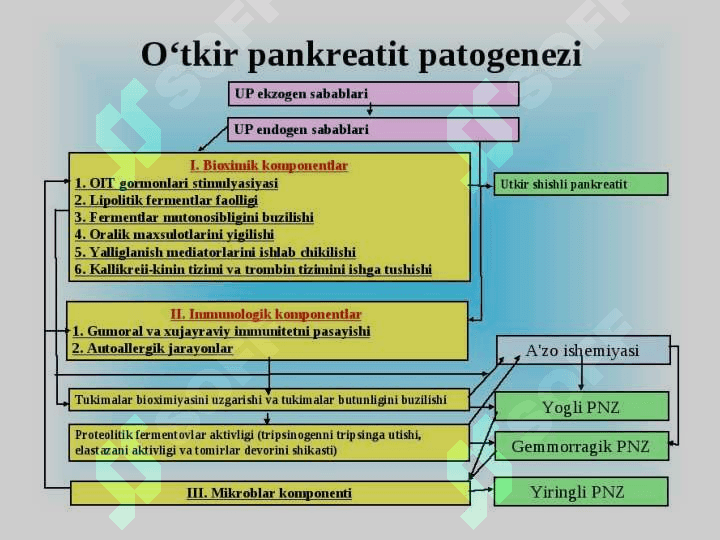 Pankreatitlarni xirurgik davolash usullari. 8