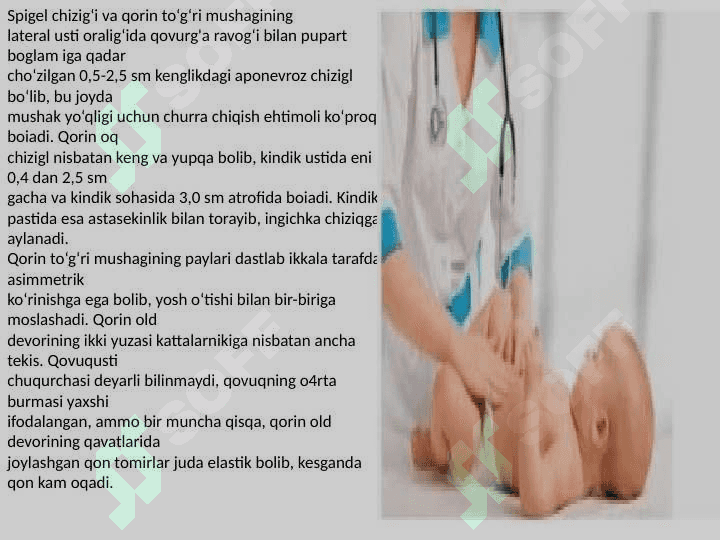 Qorin devori tug‘ma nuqsonlari xirurgik anatomiyasi 4