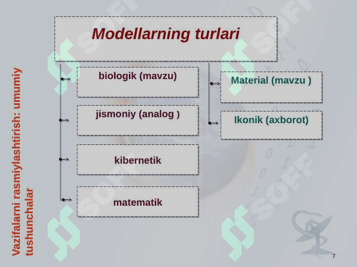 Tibbiy biologik tadqiqotlarda model tushunchasi 7
