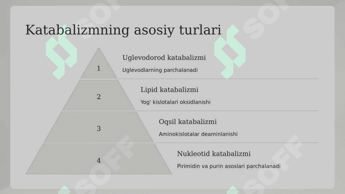 Katabalizmning umumiy yo'llari 3