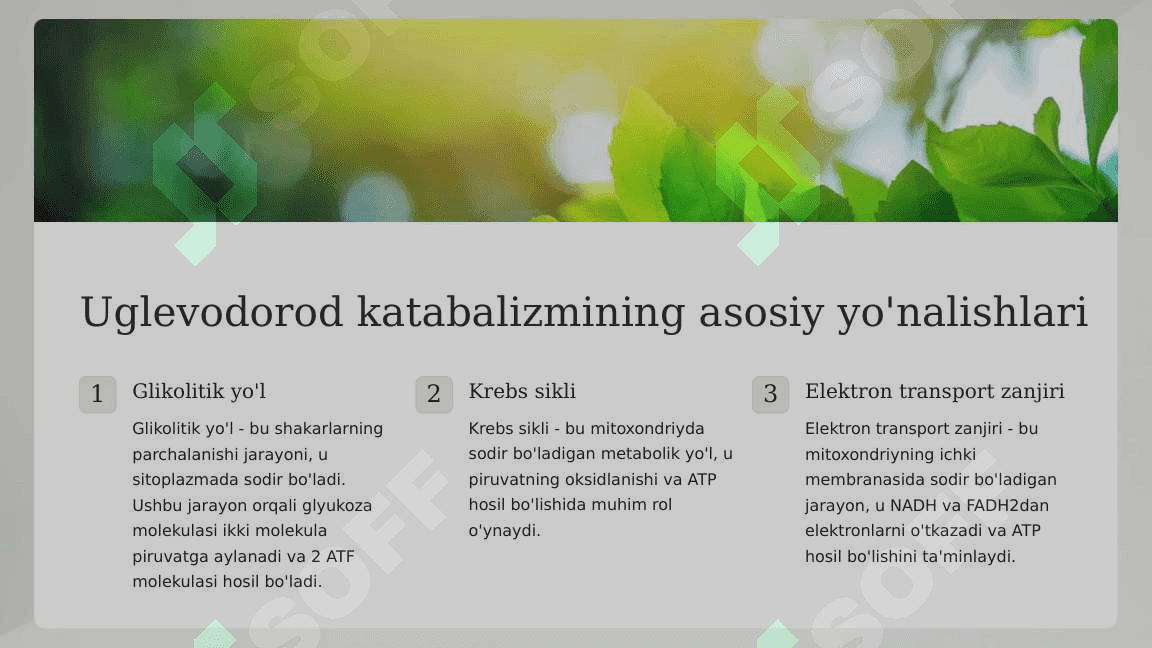 Katabalizmning umumiy yo'llari 4