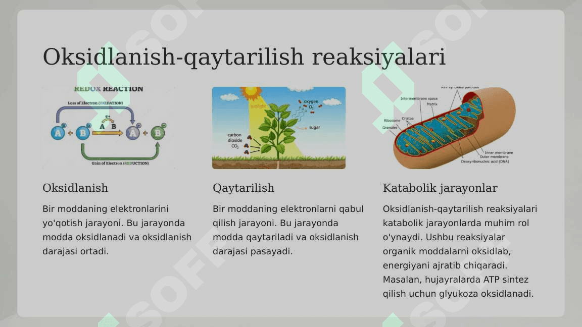 Katabalizmning umumiy yo'llari 5