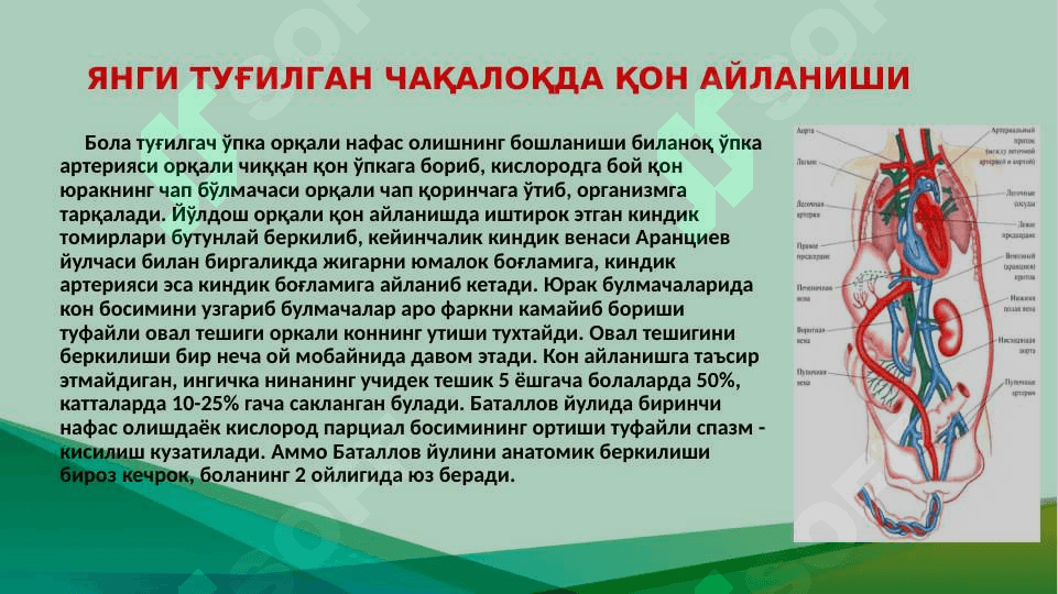 Юрак туғма нуқсонлари 8