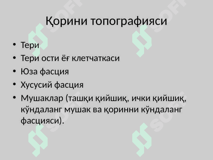 Қорин олд ён девори топографияси 3