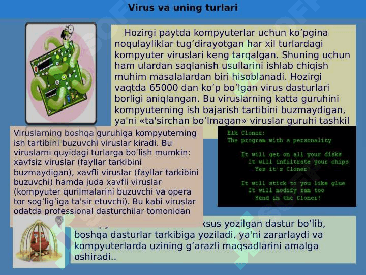 Kompyuter viruslari va antivirus dasturlari 5