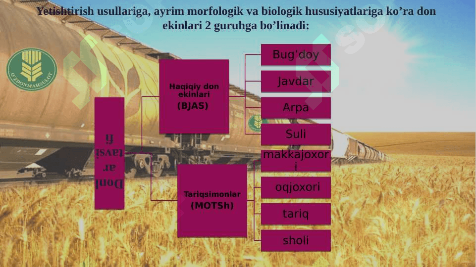 DON SANOATI BO'YICHA KADRLAR BUYURTMACHILARI VA ISHLAB CHIQARISH KORXONALARI 4