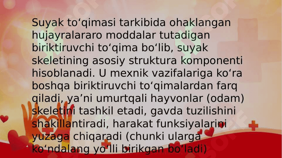 Suyak toʻqima muskul toʻqmasi 2