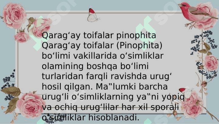 Qaragʻay toifalar sagovniklar 2
