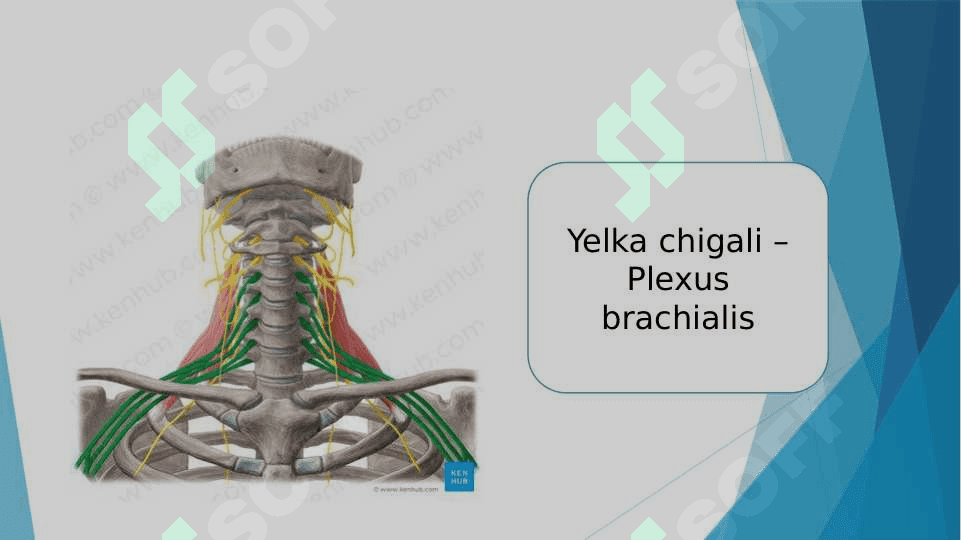 Yelka chigali 2