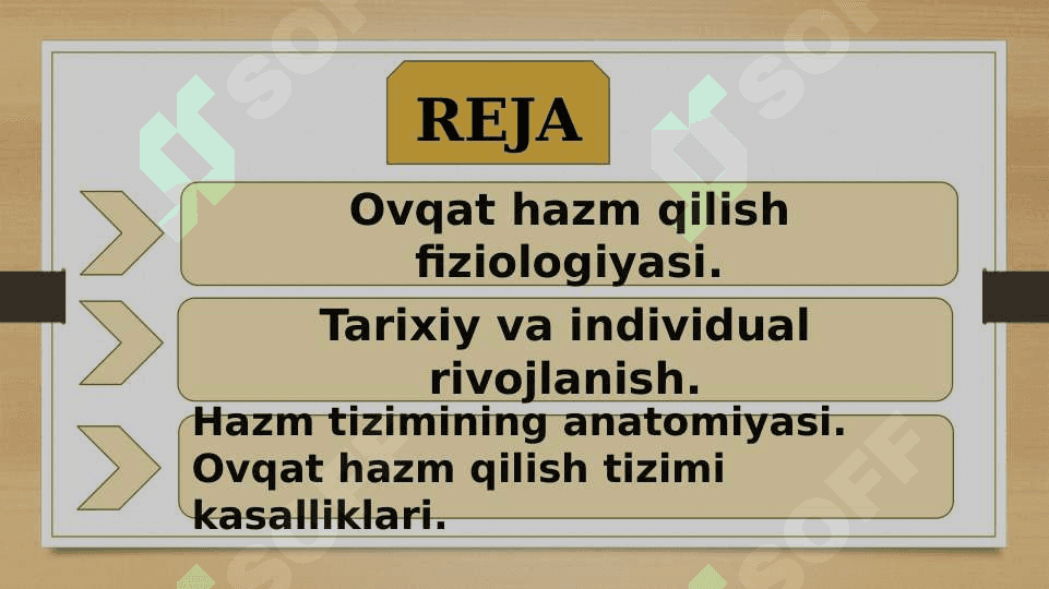 HAZM TIZIMI FILOGENEZI VA BUZILISHI 2
