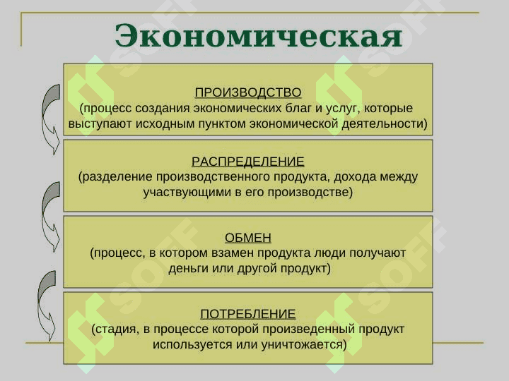 Экономические основы общества 4