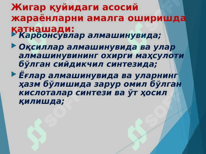 Jigar biokimyosi 7