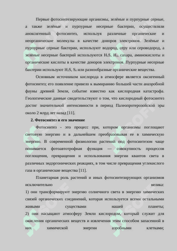 Роль фотосинтеза в природе 6