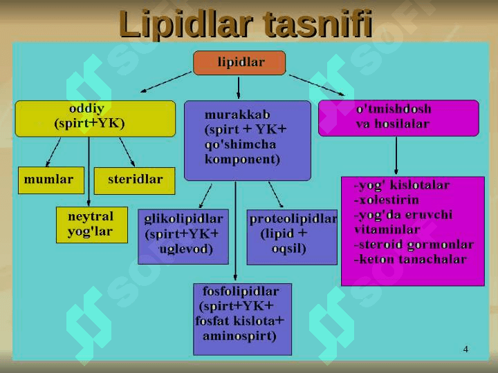 Lipid metabolizmi . Lipidlar almashinuvi biokimyosi 4