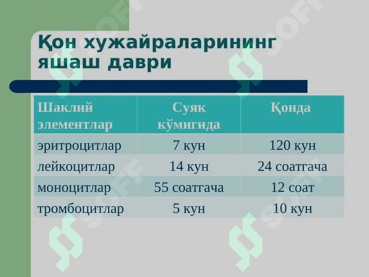 Қон тизими патофизиологияси 3
