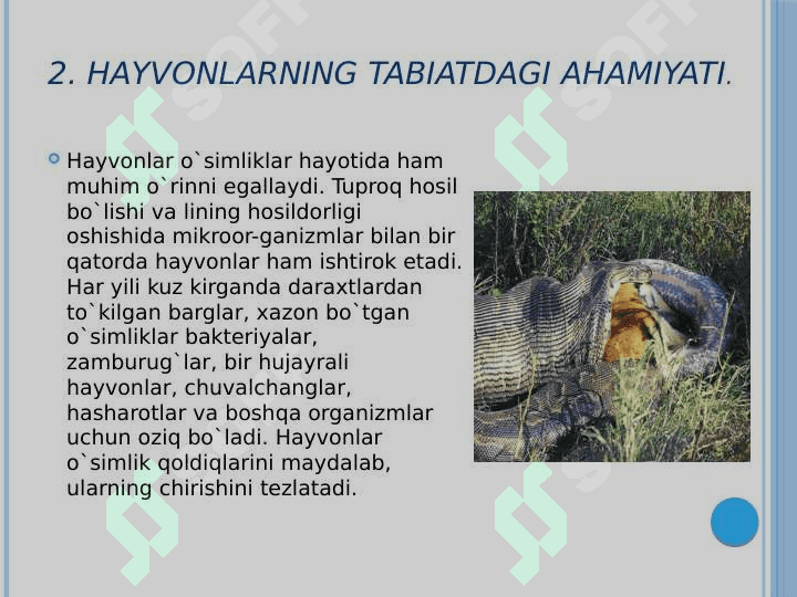 Hayvonot olamihaqidagi bilimlarga ega bo’lish 3