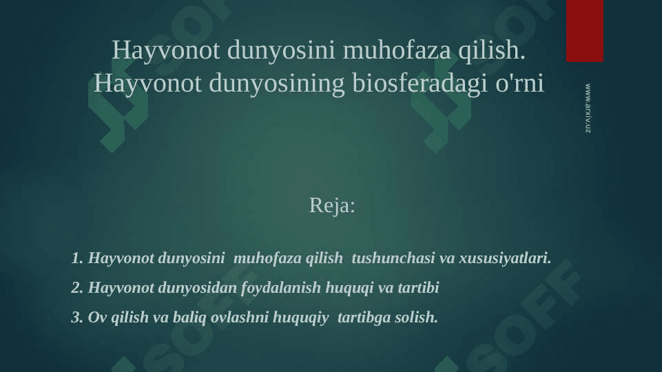 Hayvonot dunyosini muhofaza qilish. Hayvonot dunyosining biosferadagi o'rni 2
