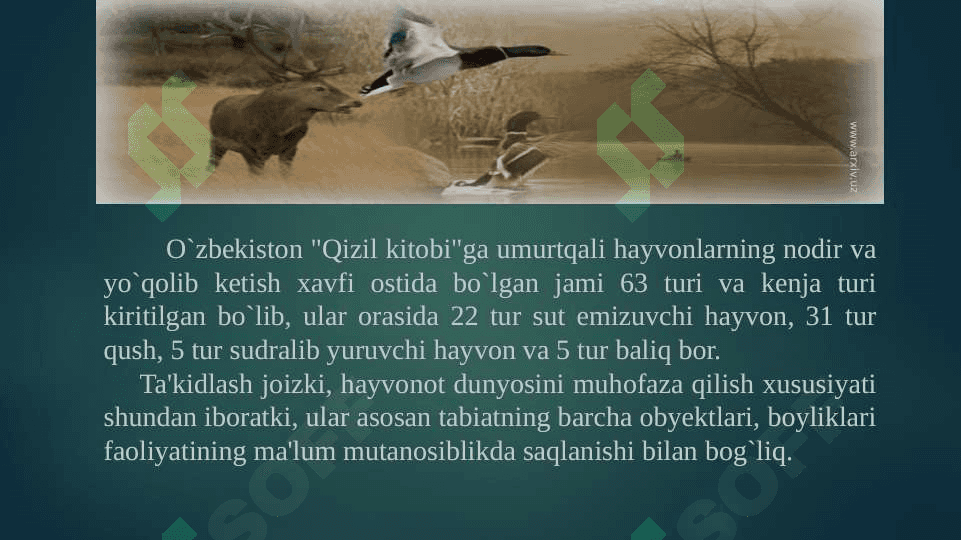 Hayvonot dunyosini muhofaza qilish. Hayvonot dunyosining biosferadagi o'rni 7