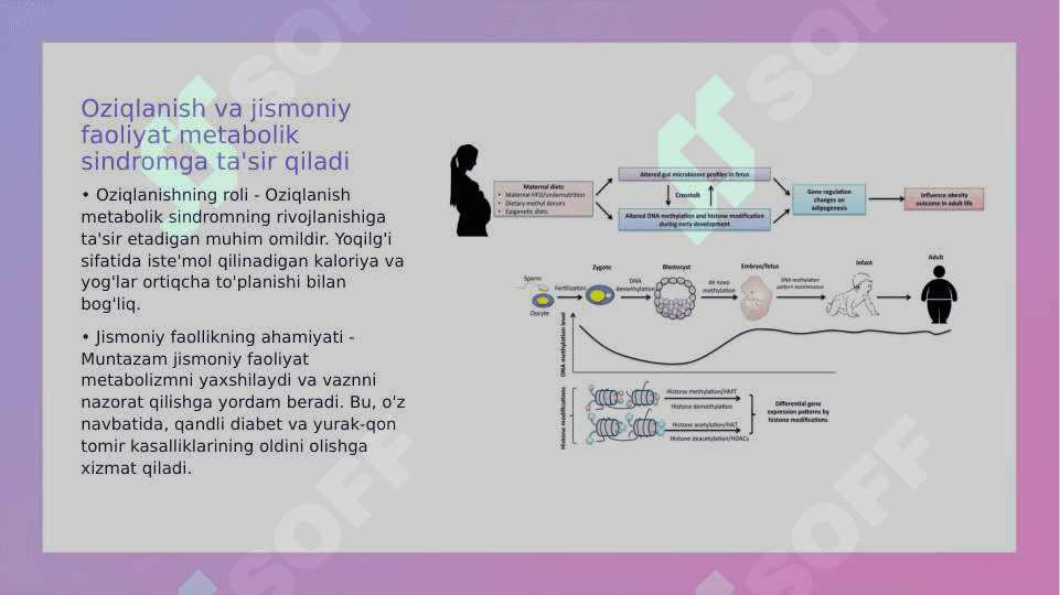 Metabalitik sindrom kelib chiqishining asoslari va asoratlari 4