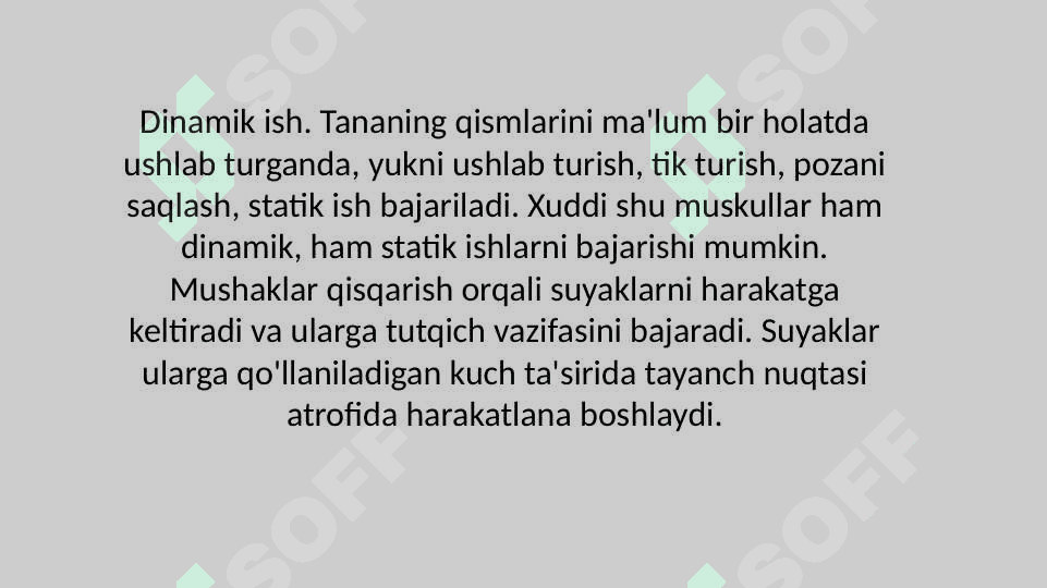Statik va dinamik yuklamalar tasirida mushak tizimida morfologik o'zgarishlar 3