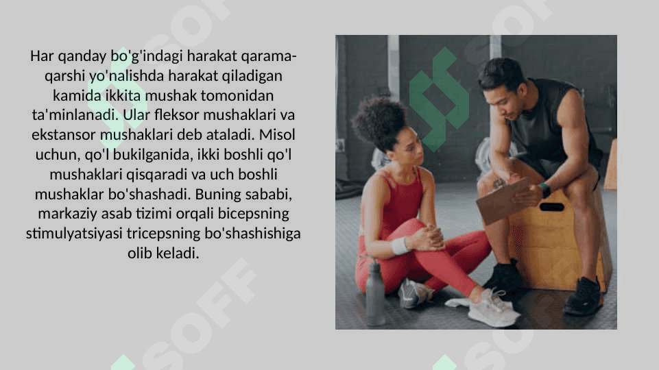 Statik va dinamik yuklamalar tasirida mushak tizimida morfologik o'zgarishlar 4