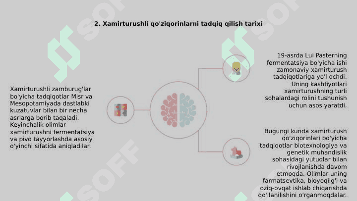 Achitqi zamburug'lar 4